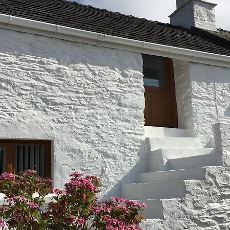 Little Barn Cottage Newport  Dış mekan fotoğraf