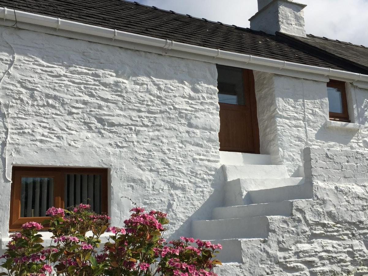 Little Barn Cottage Newport  Dış mekan fotoğraf
